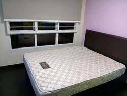 Blk 288C Compassvale Cape (Sengkang), HDB 4 Rooms #550024121